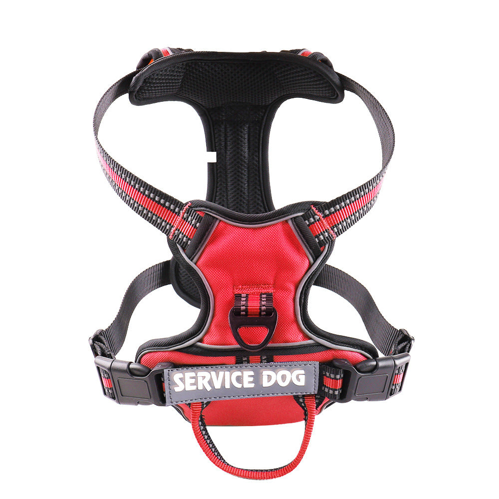 "Dog wearing personalized Y-shape harness with reflective strips for comfort and safety, vibrant color, ergonomic design."