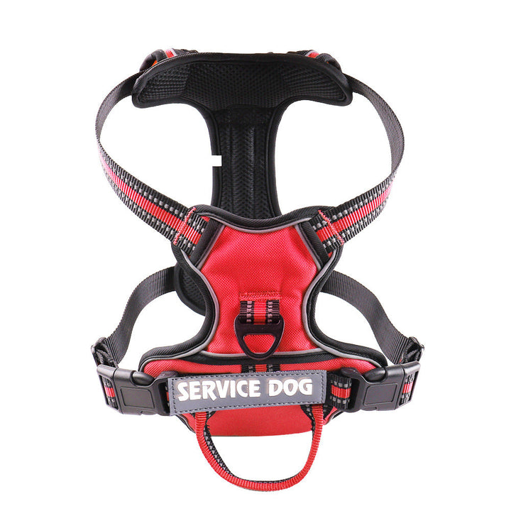 "Dog wearing personalized Y-shape harness with reflective strips for comfort and safety, vibrant color, ergonomic design."