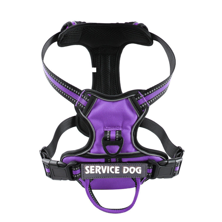 "Dog wearing personalized Y-shape harness with reflective strips for comfort and safety, vibrant color, ergonomic design."