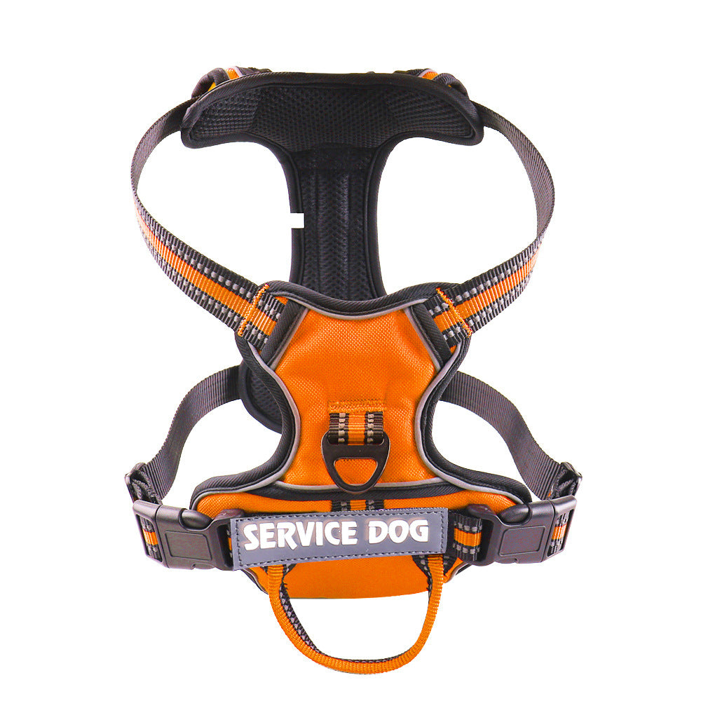 "Dog wearing personalized Y-shape harness with reflective strips for comfort and safety, vibrant color, ergonomic design."