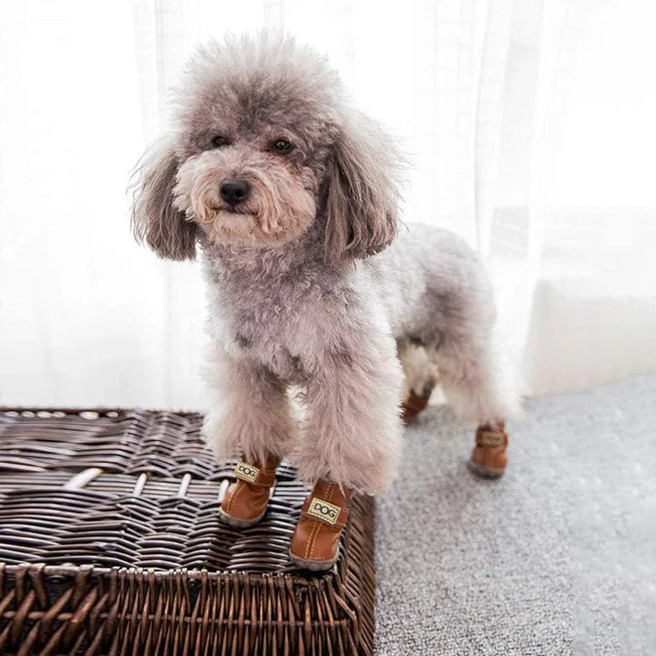 "Dog Winter Snow Boots - Warm non-slip boots with plush lining, colorful options, secure fit, ideal for icy winter walks."