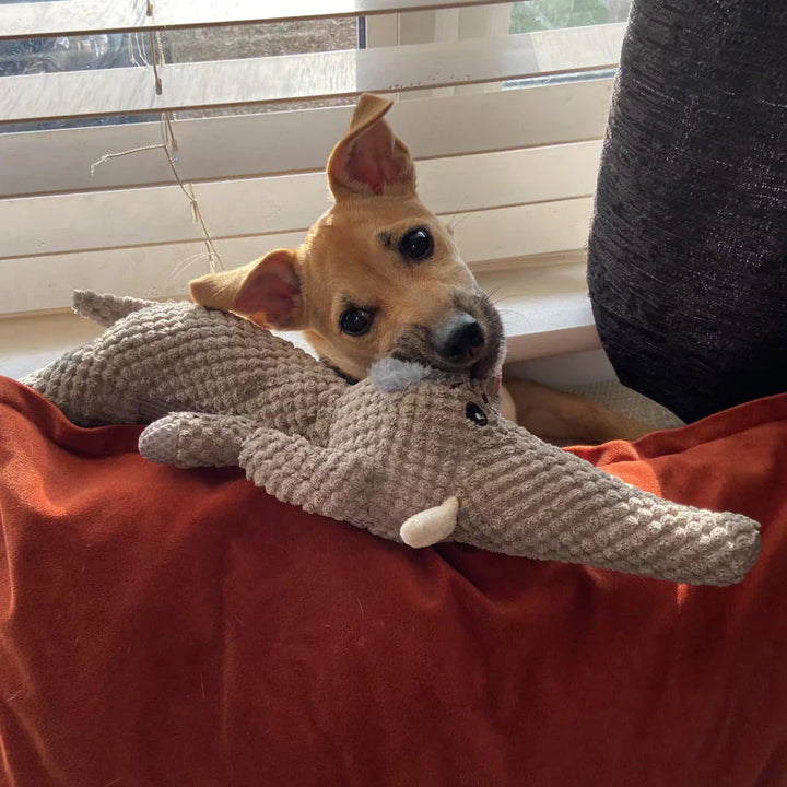Durable dog toy for strong teeth, robust texture, designed for chewing and fetching, ideal for vigorous play sessions.