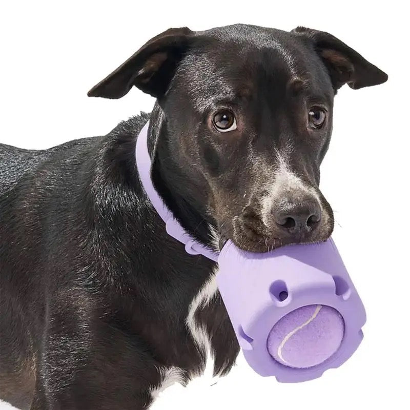 "Durable rubber dog chew toy with hidden tennis ball, designed for interactive play, available in vibrant colours."
