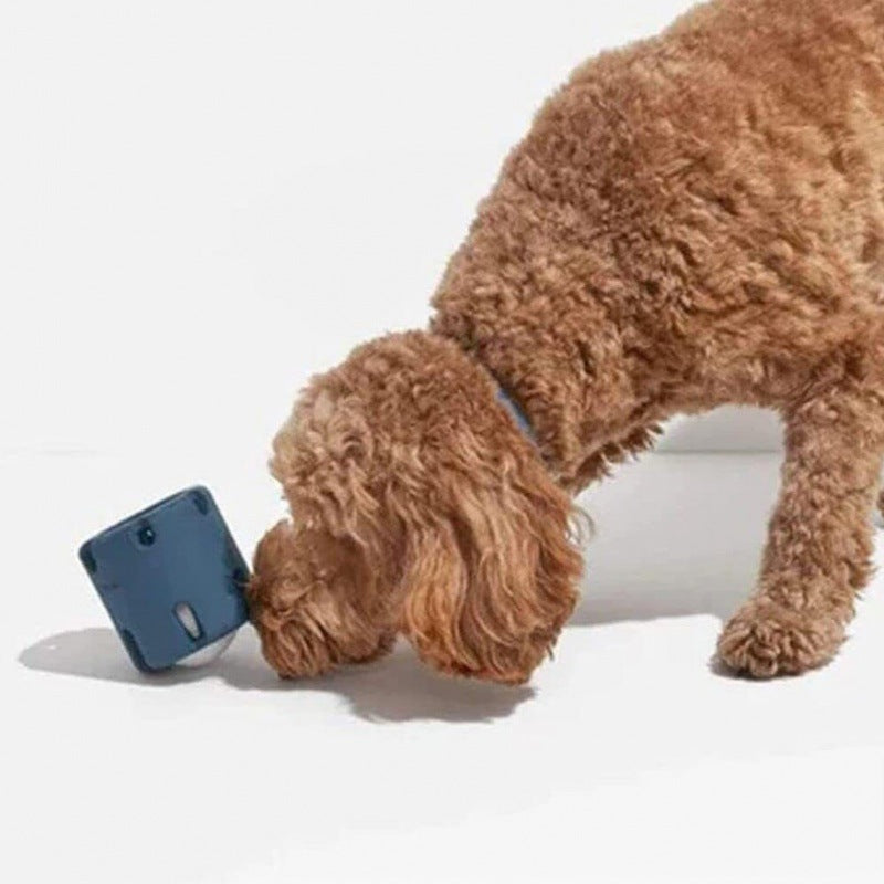 "Durable rubber dog chew toy with hidden tennis ball, designed for interactive play, available in vibrant colours."
