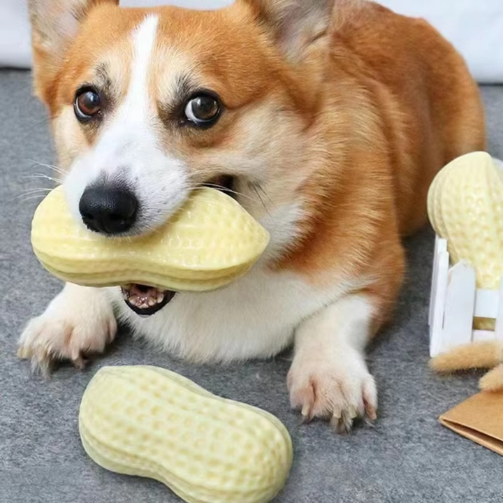 "Durable squeaky peanut-shaped chew toy in vibrant colors for dogs, promoting play, teeth cleaning, and cognitive engagement.