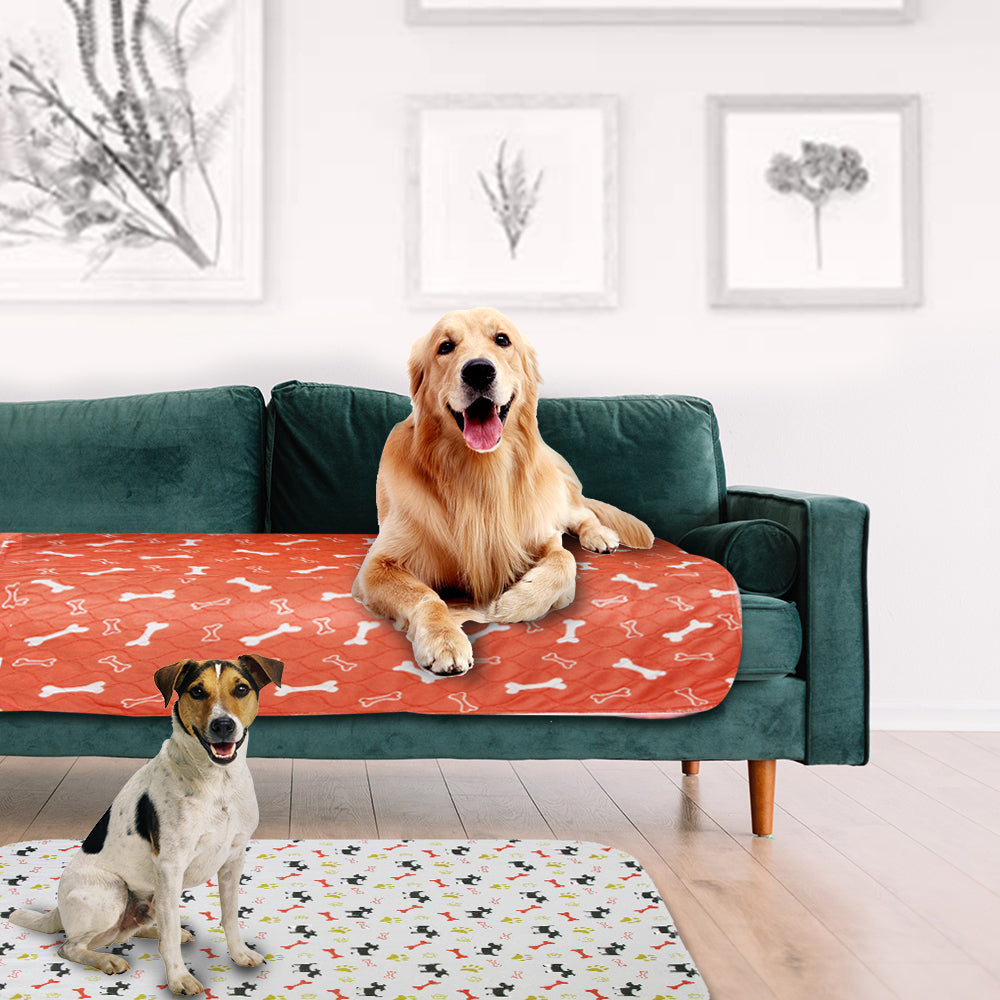 "Eco-friendly Pipi Pad for dogs, super absorbent, reusable, and durable, ensures a clean home with soft, sturdy design."