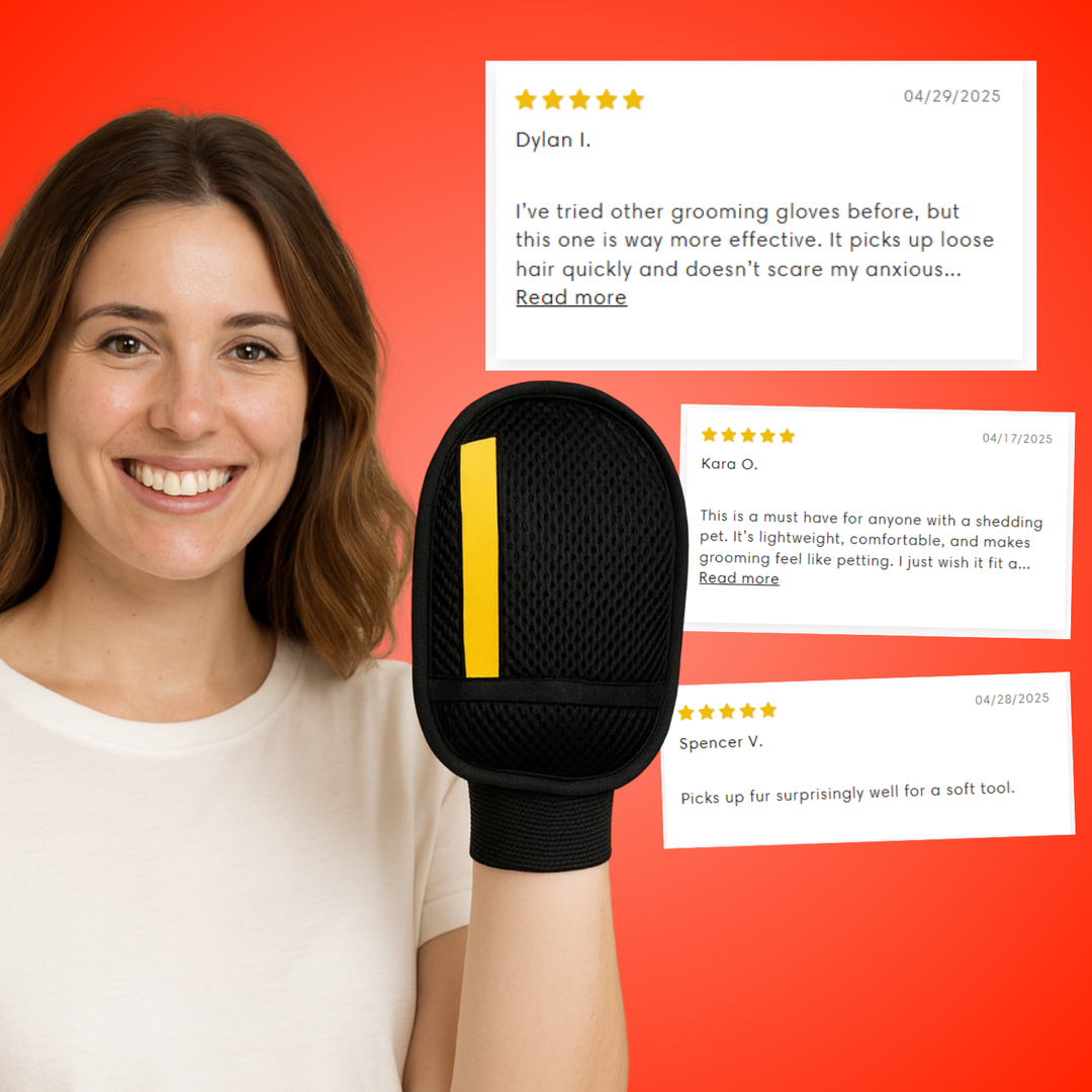 Effortless pet hair remover glove; blue mesh fabric with stretchy cuff, ideal for removing hair from clothes, sofas, and carp