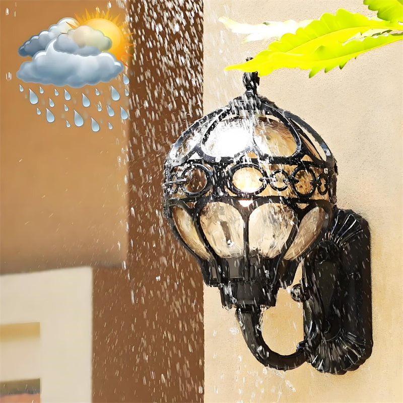 "Elegant bronze/black outdoor wall light with matte finish, transparent globe shade, perfect for garden or porch lighting."