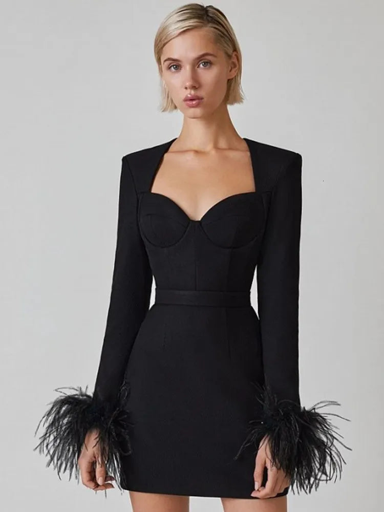 Elegant women's dress with feather details, long sleeves, and slim-fit silhouette, perfect for special occasions or evening e