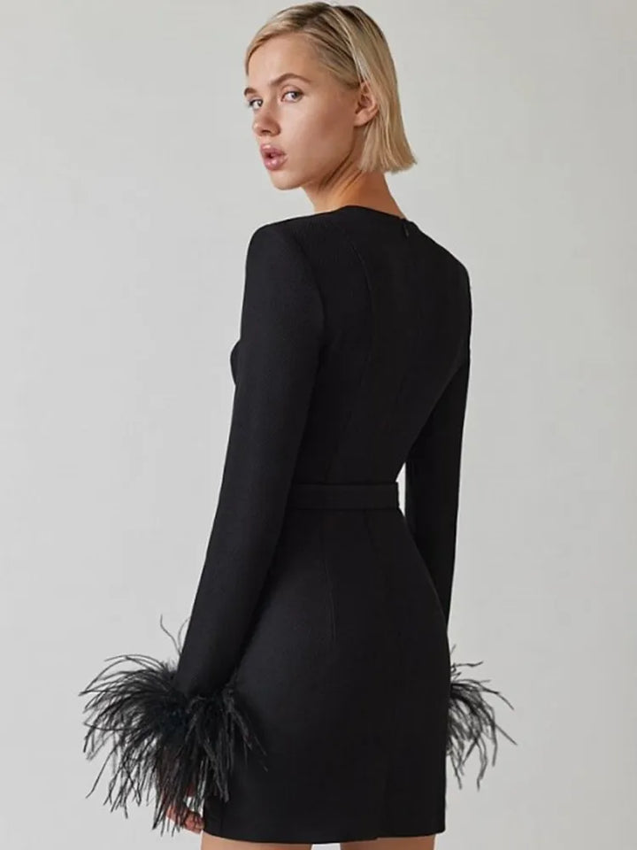 Elegant women's dress with feather details, long sleeves, and slim-fit silhouette, perfect for special occasions or evening e