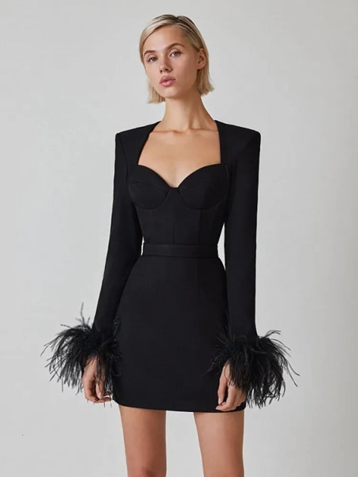 Elegant women's dress with feather details, long sleeves, and slim-fit silhouette, perfect for special occasions or evening e