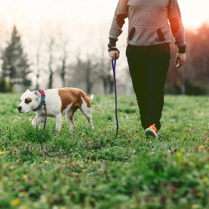 "Extra long waterproof dog lead with comfy handle, in orange, durable nylon for all weather, secure soft-touch grip."