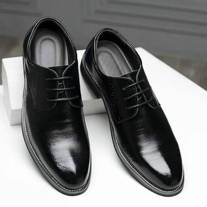 Men's Casual Pointed Shoes