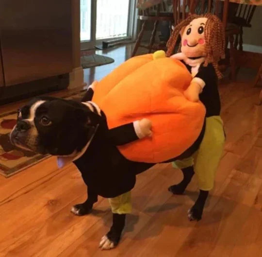 "Funny dog pumpkin Halloween costume with 3D design, adjustable fit, and plush figure for small to medium dogs."