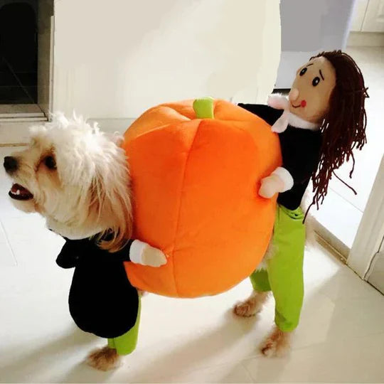 "Funny dog pumpkin Halloween costume with 3D design, adjustable fit, and plush figure for small to medium dogs."