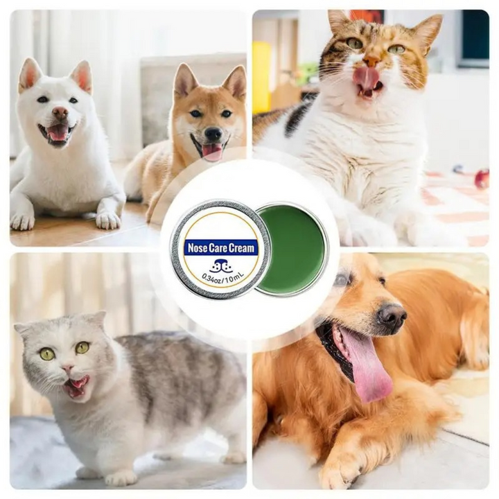 "Gentle protection balm for dry dog noses, moisturizing cracked snouts, weather-resistant, quick absorption for comfort."