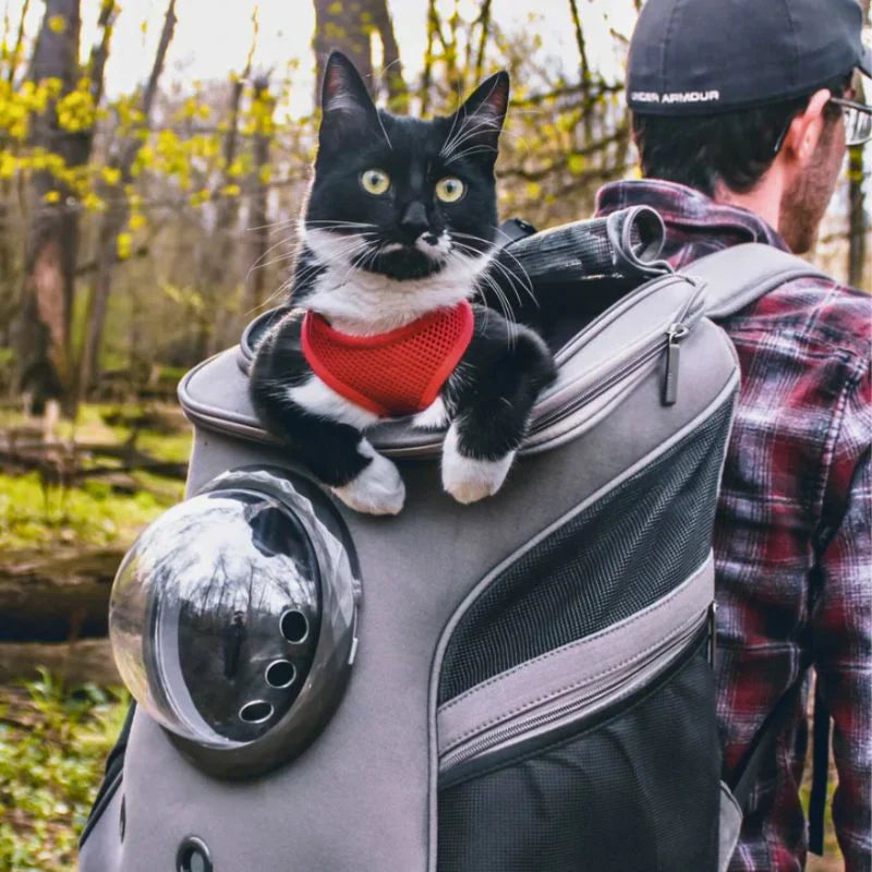 "Gray cat travel bag with panoramic window, foldable design, durable material, and comfortable padding for easy transport."
