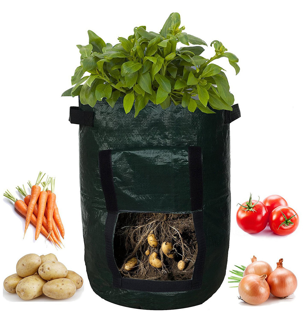 Green reusable grow bag with window for easy potato harvesting, durable fabric, ideal for patios and small gardens, optimal d