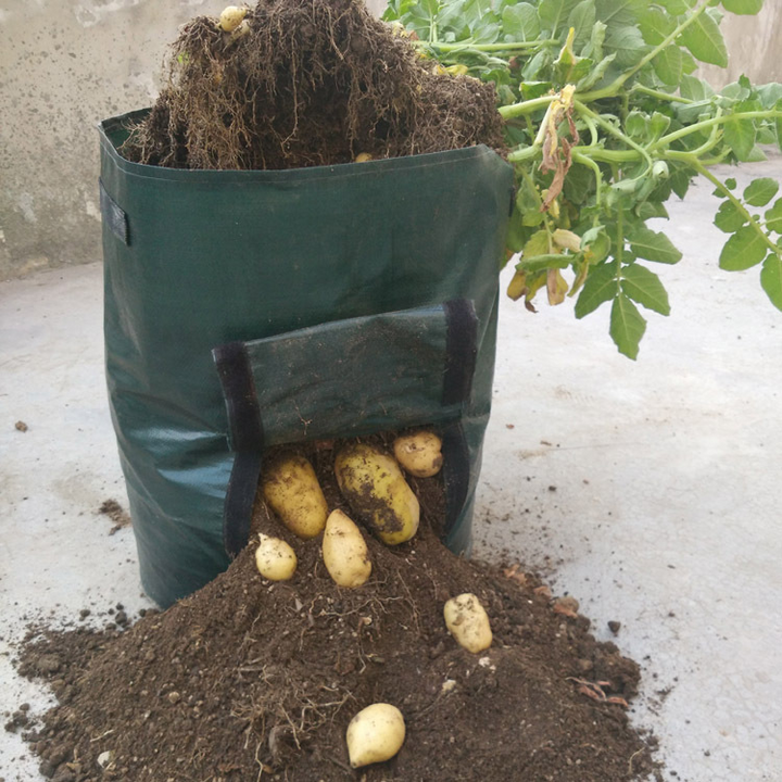 Green reusable grow bag with window for easy potato harvesting, durable fabric, ideal for patios and small gardens, optimal d