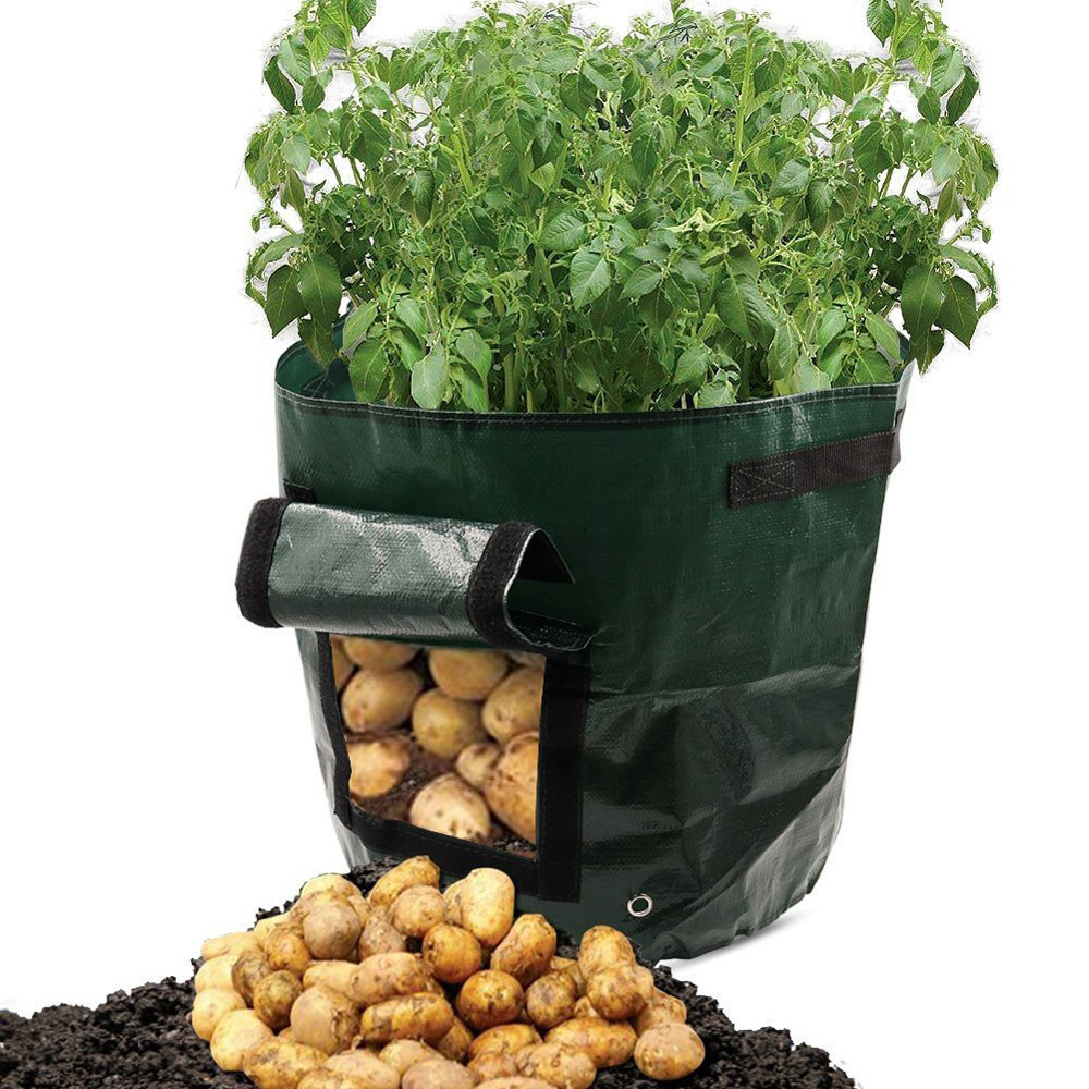 Green reusable grow bag with window for easy potato harvesting, durable fabric, ideal for patios and small gardens, optimal d