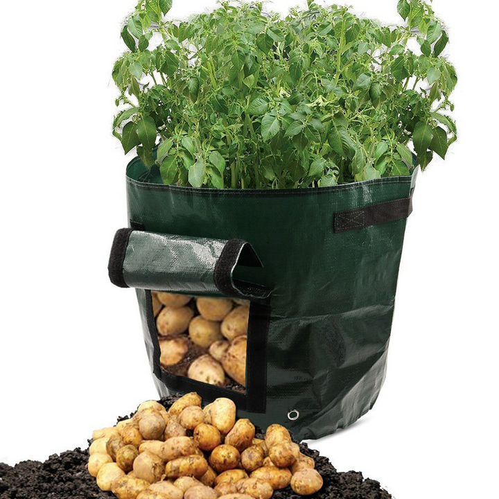 Green reusable grow bag with window for easy potato harvesting, durable fabric, ideal for patios and small gardens, optimal d