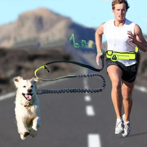 "Hands-free dog running lead with reflective waist belt, showing adjustable strap and bungee leash for outdoor activities."