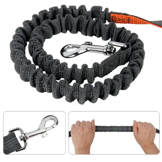 "Hands-free dog running lead with reflective waist belt, showing adjustable strap and bungee leash for outdoor activities."