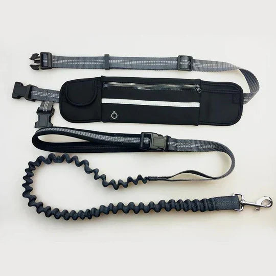 "Hands-free dog running lead with reflective waist belt, showing adjustable strap and bungee leash for outdoor activities."