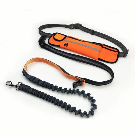 "Hands-free dog running lead with reflective waist belt, showing adjustable strap and bungee leash for outdoor activities."