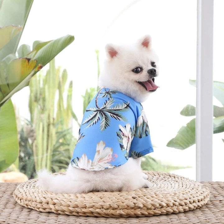 Hawaiian dog shirt with vibrant tropical patterns, featuring pineapples and foliage in bold colors for pet summer style.