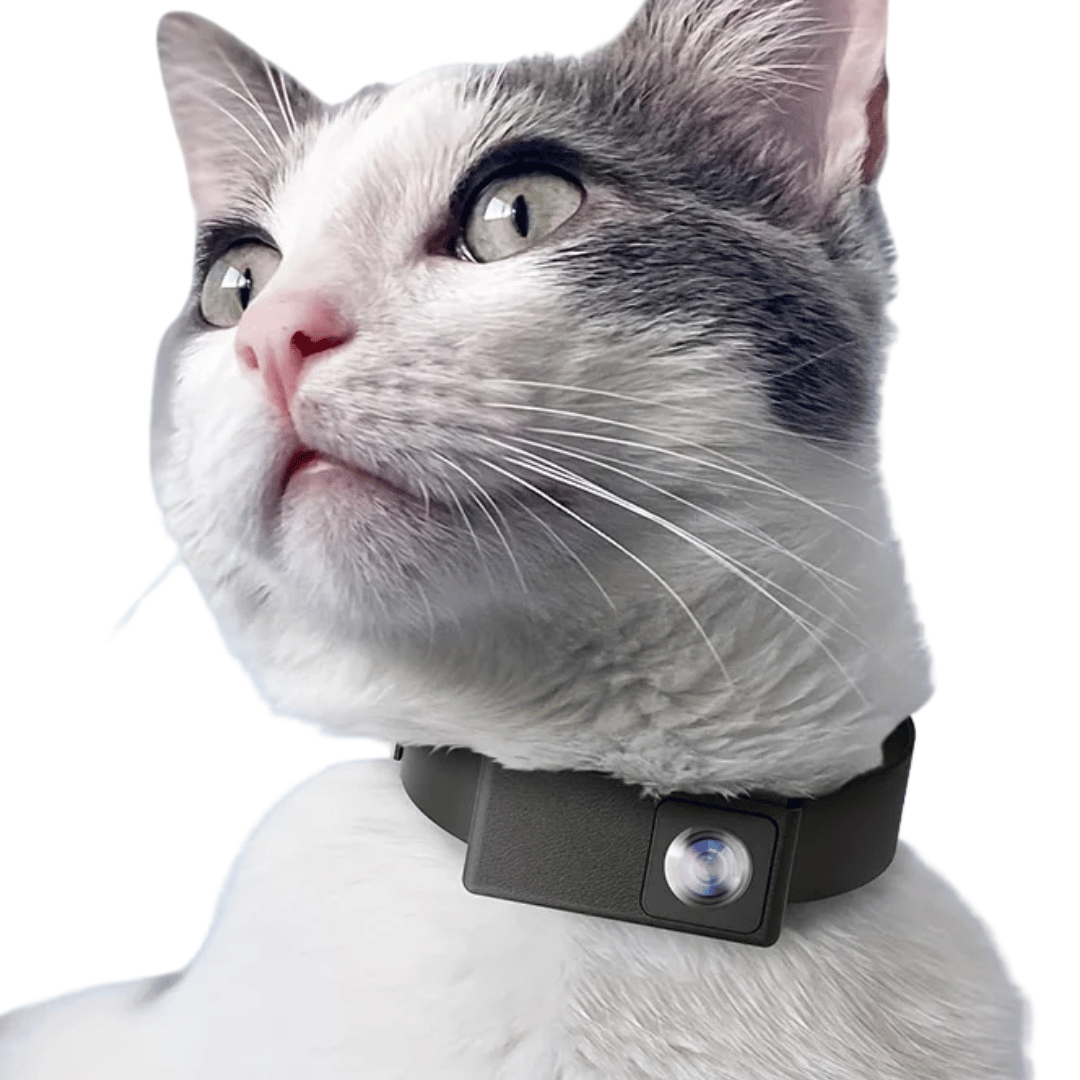 "HD Pet Collar Camera with 160° lens for dogs & cats, capturing adventures in 1080P. Lightweight, compact, easy to attach."