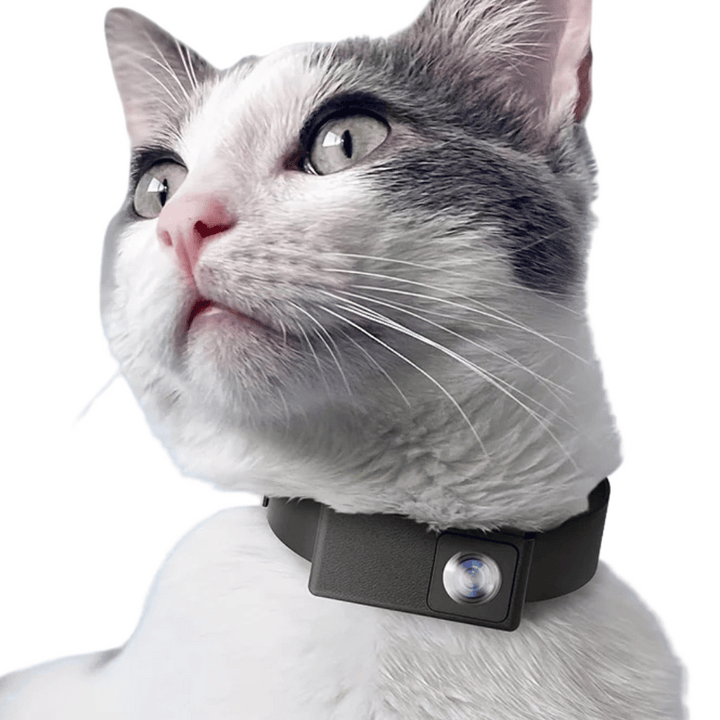 "HD Pet Collar Camera with 160° lens for dogs & cats, capturing adventures in 1080P. Lightweight, compact, easy to attach."