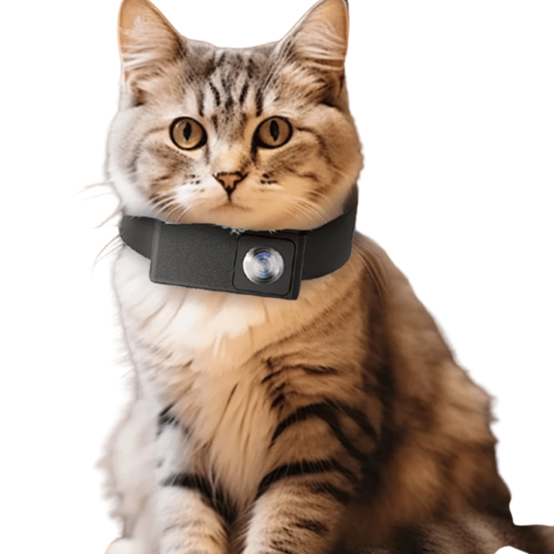 "HD Pet Collar Camera with 160° lens for dogs & cats, capturing adventures in 1080P. Lightweight, compact, easy to attach."