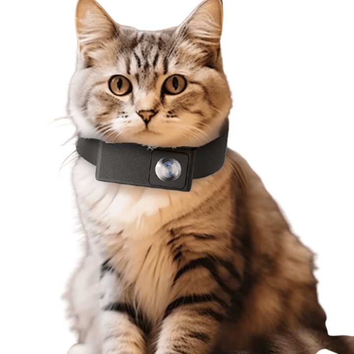 "HD Pet Collar Camera with 160° lens for dogs & cats, capturing adventures in 1080P. Lightweight, compact, easy to attach."