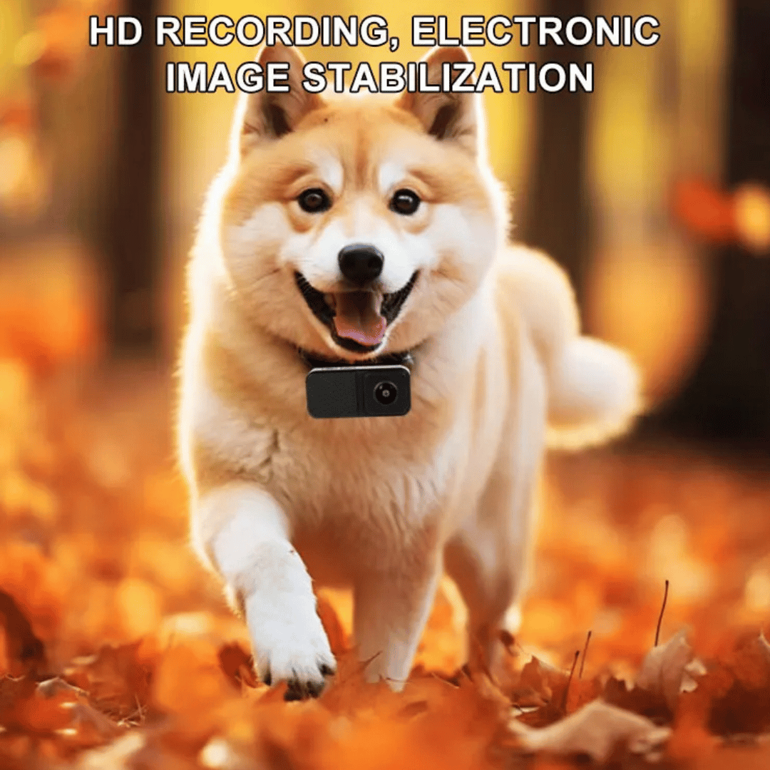 "HD Pet Collar Camera with 160° lens for dogs & cats, capturing adventures in 1080P. Lightweight, compact, easy to attach."