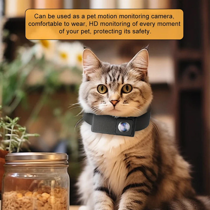 "HD Pet Collar Camera with 160° lens for dogs & cats, capturing adventures in 1080P. Lightweight, compact, easy to attach."