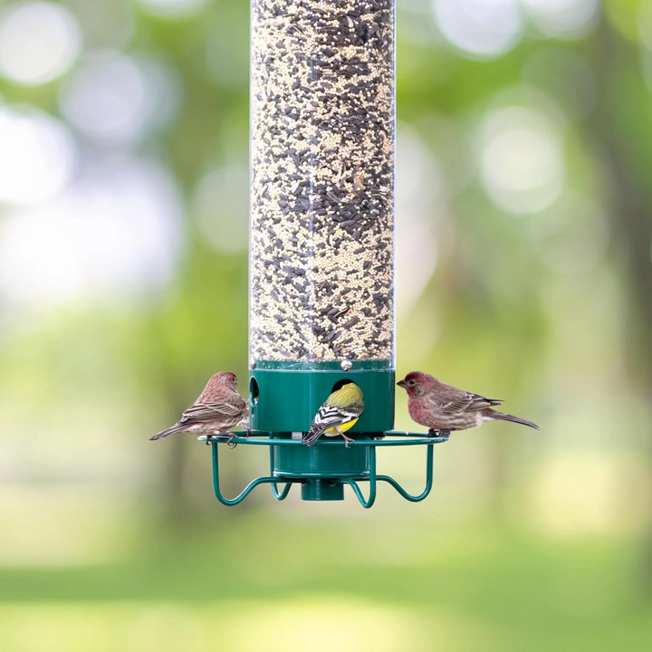 "Heavy-duty squirrel-proof bird feeder with metal weather-resistant design and rotating perch in garden setting."