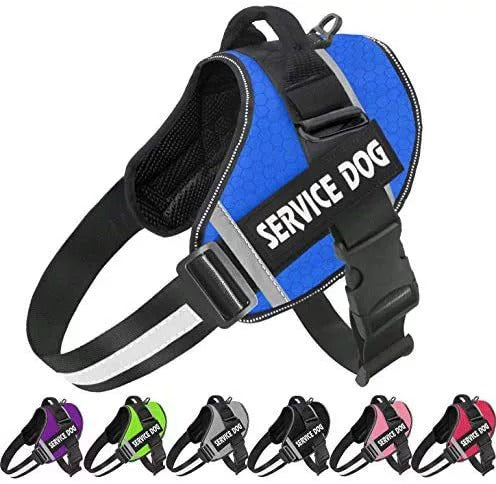 No Pull Personalised Dog Harness for Comfortable Walks