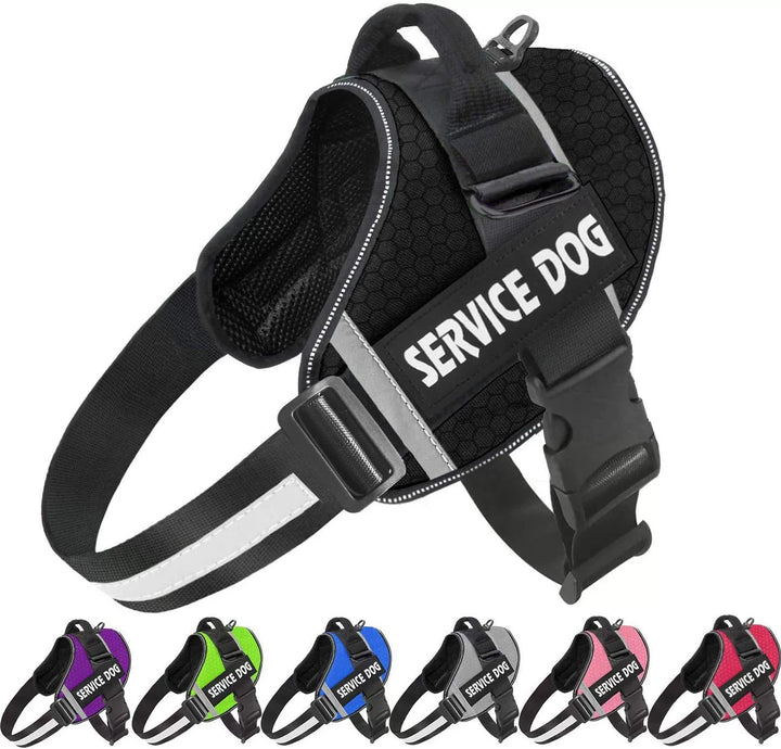 No Pull Personalised Dog Harness for Comfortable Walks