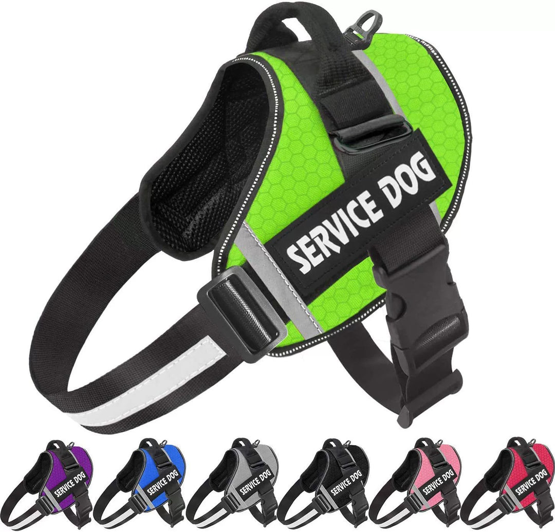 No Pull Personalised Dog Harness for Comfortable Walks