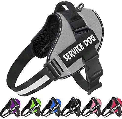 No Pull Personalised Dog Harness for Comfortable Walks