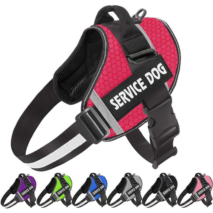 No Pull Personalised Dog Harness for Comfortable Walks
