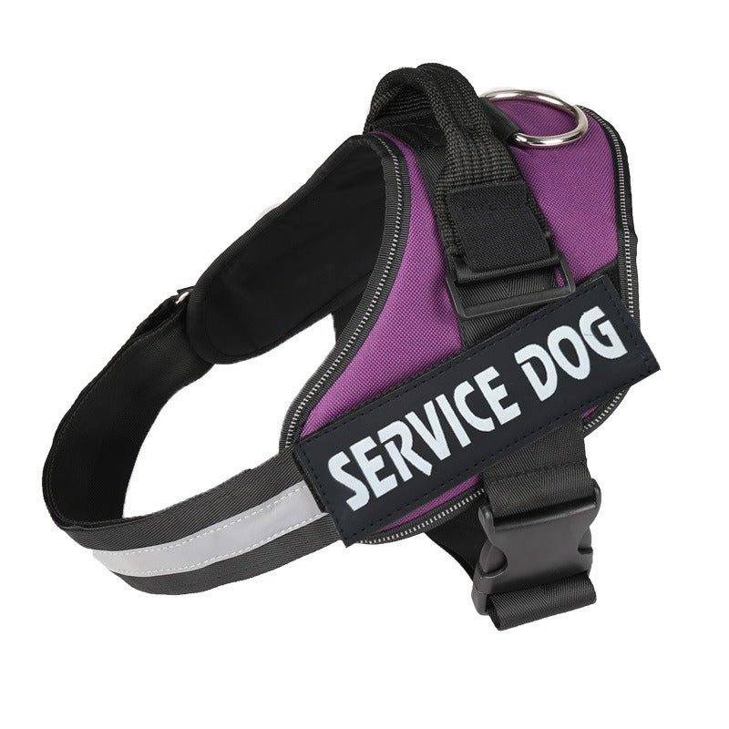 No Pull Personalised Dog Harness for Comfortable Walks