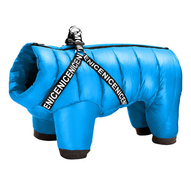 "Insulated waterproof dog winter coat in blue, showcasing cozy design with D-ring for leash, ideal for snowy adventures."