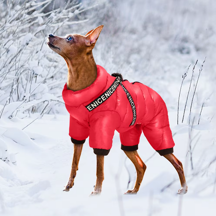 "Insulated waterproof dog winter coat in blue, showcasing cozy design with D-ring for leash, ideal for snowy adventures."