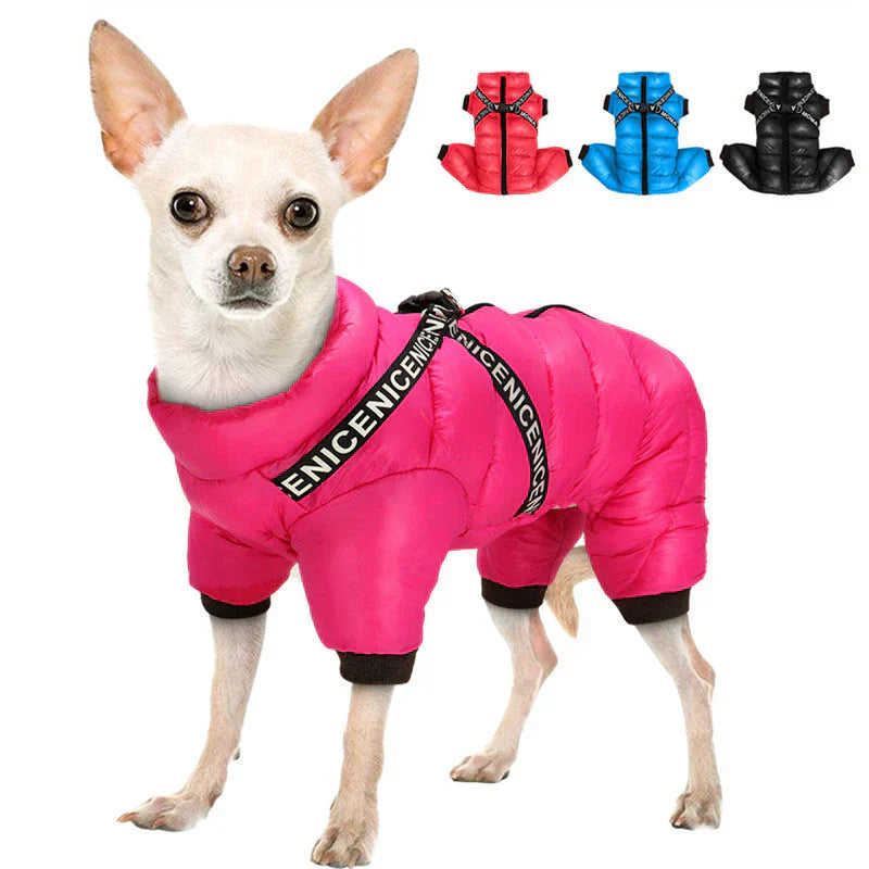 "Insulated waterproof dog winter coat in blue, showcasing cozy design with D-ring for leash, ideal for snowy adventures."