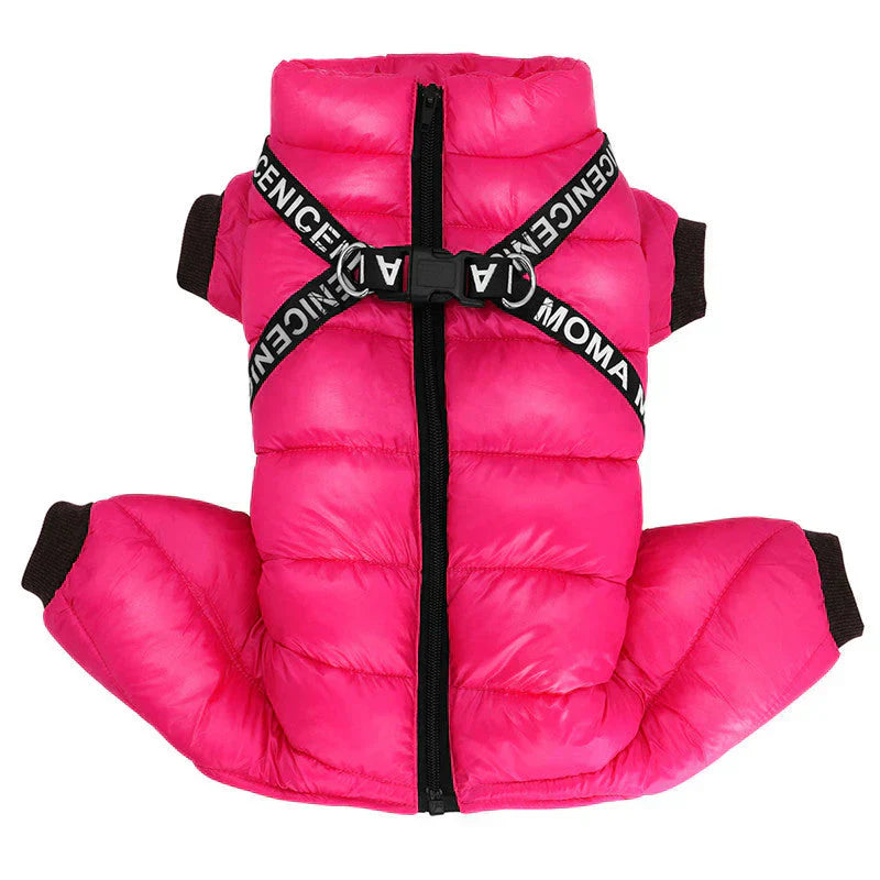"Insulated waterproof dog winter coat in blue, showcasing cozy design with D-ring for leash, ideal for snowy adventures."
