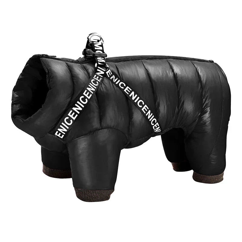 "Insulated waterproof dog winter coat in blue, showcasing cozy design with D-ring for leash, ideal for snowy adventures."