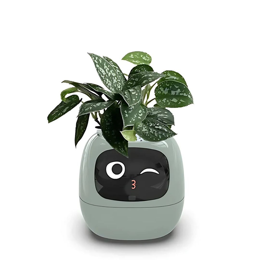 "Interactive AI Plant Pot with sleek design, smart care features, and over 70 visual expressions, perfect for tech-savvy plan