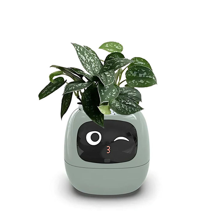 "Interactive AI Plant Pot with sleek design, smart care features, and over 70 visual expressions, perfect for tech-savvy plan